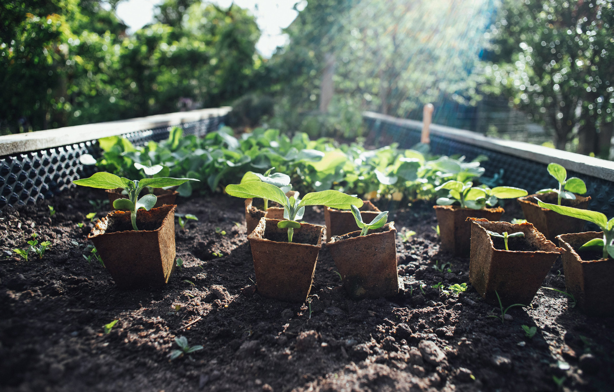 Transition alimentaire — du champ à l'assiette